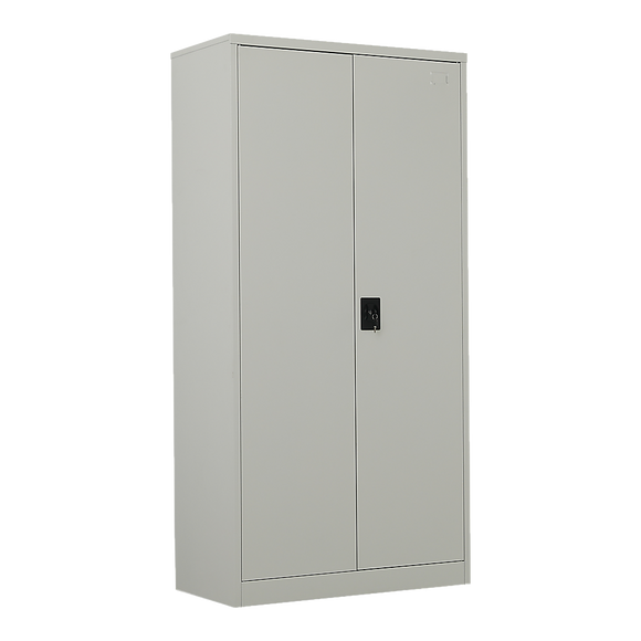 NNEDSZ Two-Door Metal Cabinet Shelf Storage for Home Office Gym