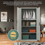 NNEDSZ Two-Door Metal Cabinet Shelf Storage for Home Office Gym