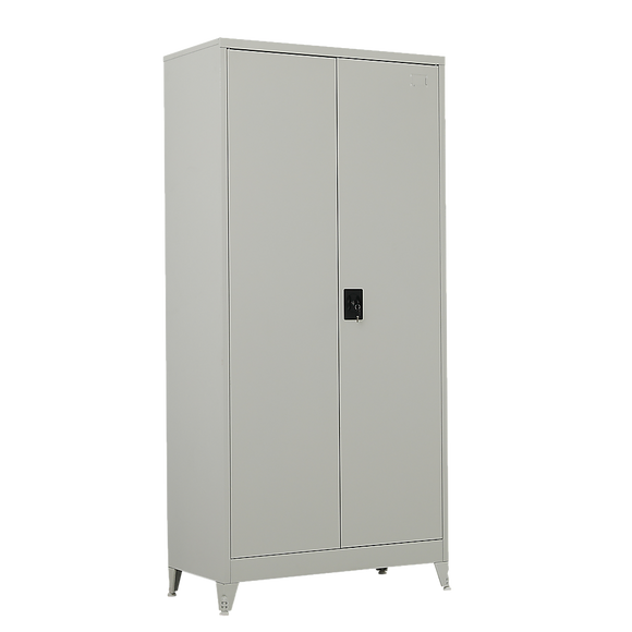 NNEDSZ Two-Door Metal Cabinet Shelf Storage for Home Office Gym