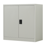 NNEDSZ Two-Door Metal Short Cabinet Shelf Storage for Home Office Gym