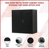 NNEDSZ Two-Door Metal Short Cabinet Shelf Storage for Home Office Gym