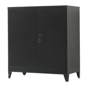 NNEDSZ Two-Door Metal Short Cabinet Shelf Storage for Home Office Gym