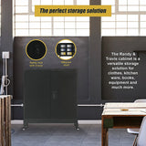 NNEDSZ Two-Door Metal Short Cabinet Shelf Storage for Home Office Gym