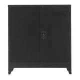 NNEDSZ Two-Door Metal Short Cabinet Shelf Storage for Home Office Gym