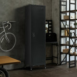 NNEDSZ Single-Door Metal Tall Cabinet Shelf Storage for Home Office Gym