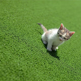 NNEDSZ 200cm x 250cm Lawn Turf Artificial Grass Mat Carpet Fake Synthetic Garden Landscape