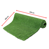 NNEDSZ 200cm x 250cm Lawn Turf Artificial Grass Mat Carpet Fake Synthetic Garden Landscape