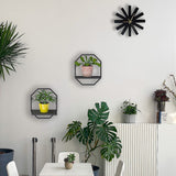 NNEDSZ Floating Wall Shelf Storage Display Mounted Rack