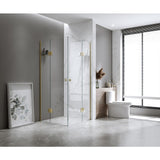 90x110cm Double Door Corner Shower with Gunmetal Channels and SS Hinges, Round Handle