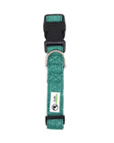 NNEDSZ Bling Glitter Overlay Nylon Dog Collar Breakaway Buckle - Moondidley Pets X- Small Turquoise