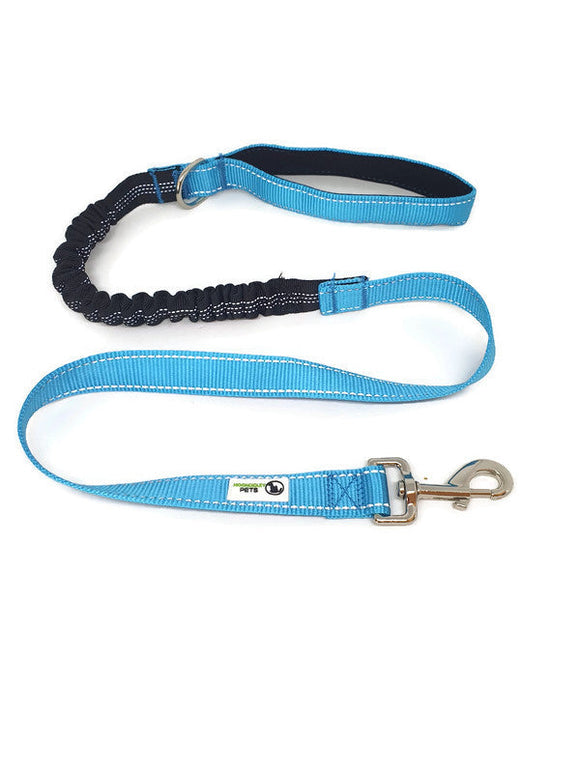 NNEDSZ Bungee Dog Lead Nylon w/Reflective Stitching - Moondidley Pets Light Blue