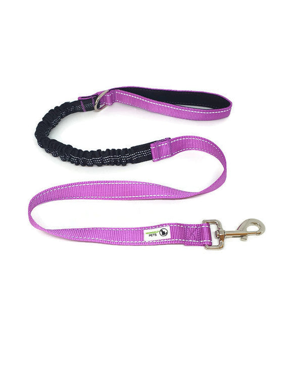 NNEDSZ Bungee Dog Lead Nylon w/Reflective Stitching - Moondidley Pets Purple