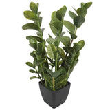 72cm Potted Multi Stem Zanzibar
