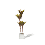 NNEDSZ Faux Cordyline fruticosa Tree