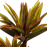 NNEDSZ Faux Cordyline fruticosa Tree