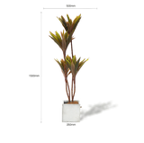 NNEDSZ Faux Cordyline fruticosa Tree