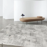 NNEDSZ Modern Grey Microfiber Rug 200cm＊300cm