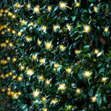 NNEDSZ Solar 150 LED Net Light available in 4 Colors - Warm White