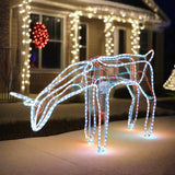 NNEDSZ LED Ropelight Standing Reindeer Small Moving Cool White available in 2 types - Feeding