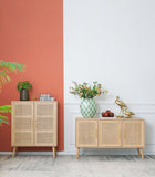 NNEDSZ TWO DOOR RATTAN CABINET