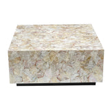 NNEDSZ CLUSTER MOTHER OF PEARL HAND MADE COFFEE TABLE