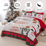 NNEDSZ Festive snowman merry Christmas Queen Bedspread Set