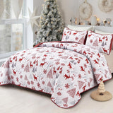 NNEDSZ Snowflake Pattern nordic Christmas Queen Bedspread Set