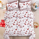 NNEDSZ Snowflake Pattern nordic Christmas Queen Bedspread Set