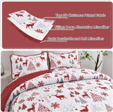 NNEDSZ Snowflake Pattern nordic Christmas Queen Bedspread Set