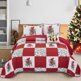 NNEDSZ Elegant Red, greem & White Christmas Queen Bedspread Set