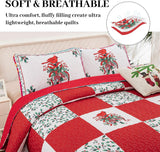 NNEDSZ Elegant Red, greem & White Christmas Queen Bedspread Set