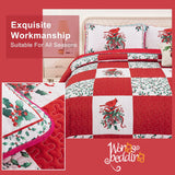 NNEDSZ Elegant Red, greem & White Christmas Queen Bedspread Set