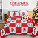 NNEDSZ Elegant Red, greem & White Christmas Queen Bedspread Set