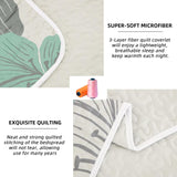 NNEDSZ Radiant Quilted Coverlet and Pillowcases Set: Envelop Your Bed in Elegance - Queen size