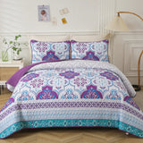 NNEDSZ Handsome Quilted Bedspread and Pillowcases Set: Strong, Sturdy, and Stylish - Queen size