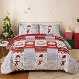 NNEDSZ Winter Wonderland snowman santa Christmas Queen Bedspread Set