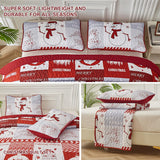 NNEDSZ Winter Wonderland snowman santa Christmas Queen Bedspread Set