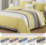 NNEDSZ Ornate Quilted coverlet and pillowcovers set: Embellished Beauty - Queen size