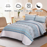 NNEDSZ Cozy Quilted Coverlet and Pillowcases Set: A Hug for Your Bed - Queen size