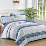 NNEDSZ Dazzling Quilted bedspread and pillowcovers set: Add Sparkle to Your Space - Queen size