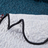 NNEDSZ Distinguished Quilted Bedspread and Pillowcases Set: Enhance Your Bedroom Appeal - Queen size