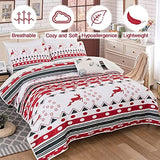 NNEDSZ Vintage Christmas Print Queen Bedspread Set