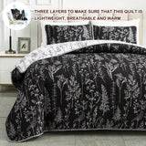 NNEDSZ Cultured Quilted Coverlet and Pillowcases Set: Style Meets Functionality - Queen size