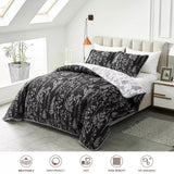NNEDSZ Cultured Quilted Coverlet and Pillowcases Set: Style Meets Functionality - Queen size
