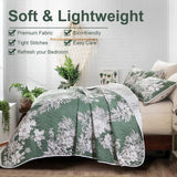 NNEDSZ Sophisticated Quilted Coverlet and Pillowcases Set: Elevate Your Bedroom Decor - Queen size