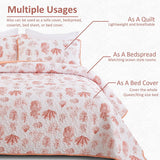 NNEDSZ Sleek Quilted Bedspread and Pillowcases Set: Contemporary Style and Comfort - Queen size
