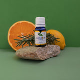 NNEDSZ Court Pure and Essential Oils Purify 10ml