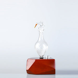 NNEDSZ Diamond Bird Nebuliser
