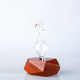 NNEDSZ Diamond Bird Nebuliser