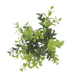 NNEDSZ Artificial Rounded Boxwood Stem UV 30cm